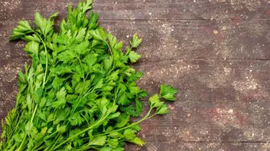 garnishing-instructions-image